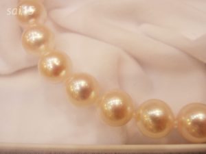 楽天 真珠屋 (6)