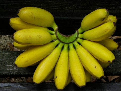 バナナ　スムージー